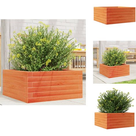 Jardinière cire marron 50x50x23 cm bois de pin massif - Jardinière En Bois - Pot De Fleurs Extérieur - Jardinière Terrasse - Jardin Design - Pots De Fleurs Rustiques (1/5)