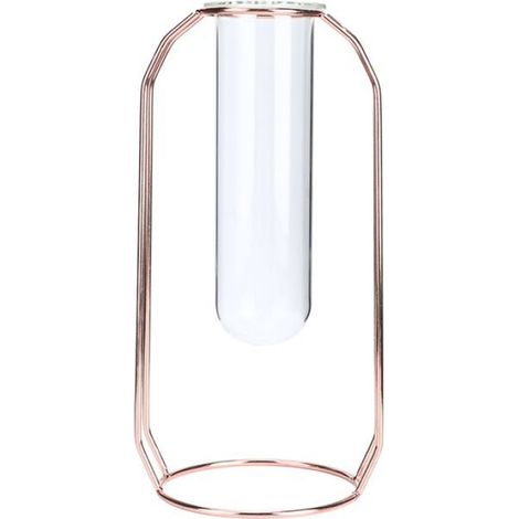 Vase Hydroponique - Verre Trempé - Pour Plantes d'Intérieur Bureau Maison - Rose Doré (1/5)
