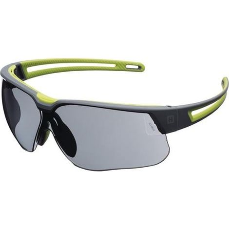 Gafas de protección Avatar Plus EN166,EN170,UKCA patilla gris/verde, lente gris (1/2)