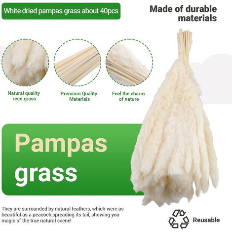 40 brins d'herbe de la pampa blanche séchée naturelle de 45 cmduveteuse et retombanteidéale pour la décoration florale bohème de mariage. (1/5)