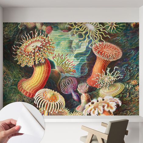 Carta da parati autoadesiva - Fotomurale adesivo - soggiorno moderno - resistente - Anemoni fantastici 152x104 cm (1/5)
