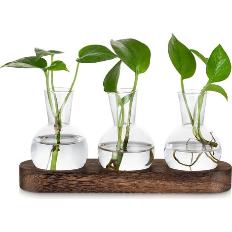 Terrarium Plant Propagation Station 3 Glass Vases Transparent Vase with Brown Wood Tray Hydroponic Office Planters Table Decoration Living Room (1/5)