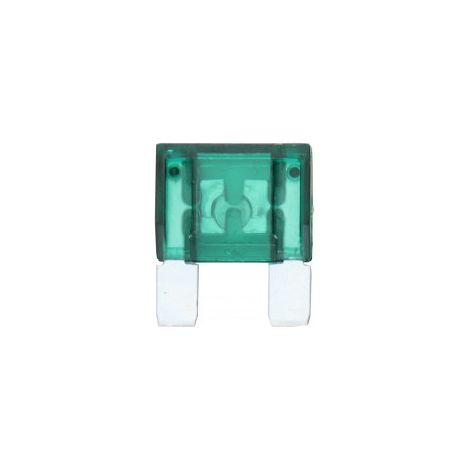 Fusible magnum a broches - 30A (par 10)