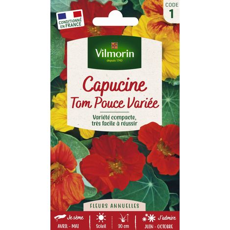Vilmorin – Capucine Tom Pouce en mélange – Graines de fleurs – Période de semis : printemps – Couleur : orange – Exposition : soleil