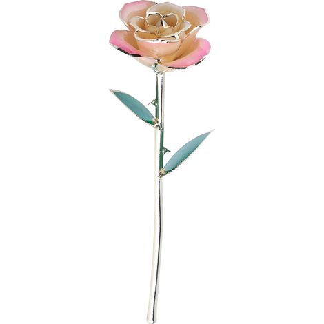 Poudre blanche dorée exclusive FBA Premium Rose Feuille Verte (1/5)