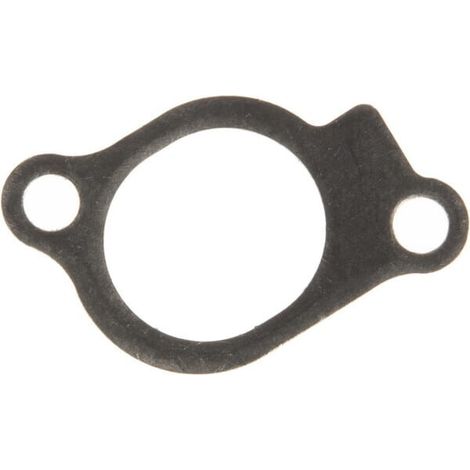 Joint d'admission BRIGGS ET STRATTON 847671