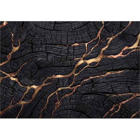Fototapete Abstrakt Holz Schwarz 150x105 cm Modernes Design Einfache Montage (1/5)