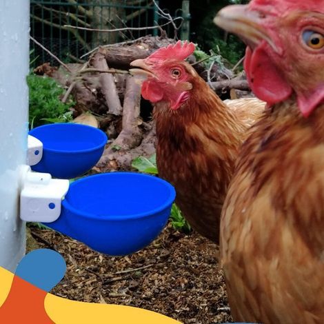 Abreuvoir Automatique pour Poules PVC 8 Pièces Grand Capacité Bleu Résistant Design Épais (1/4)