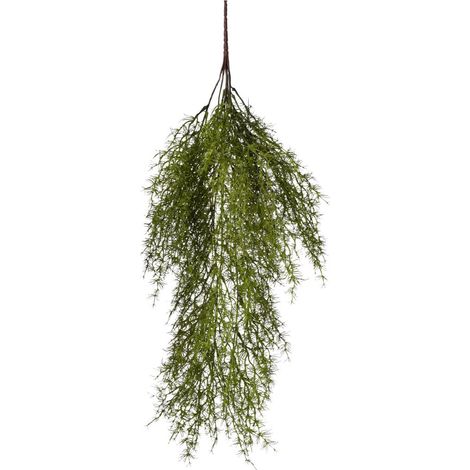 Conti Cadente Asparago 70 Cm Green
