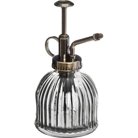 vaporisateur d'eau et de parfum transparent