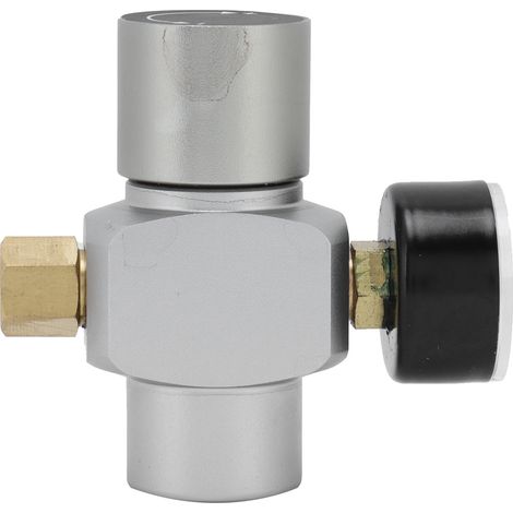 Mini régulateur CO2 avec vanne d'arrêt MFL3/8in vers TR21x4 pour accessoire de brassage maison (1/5)