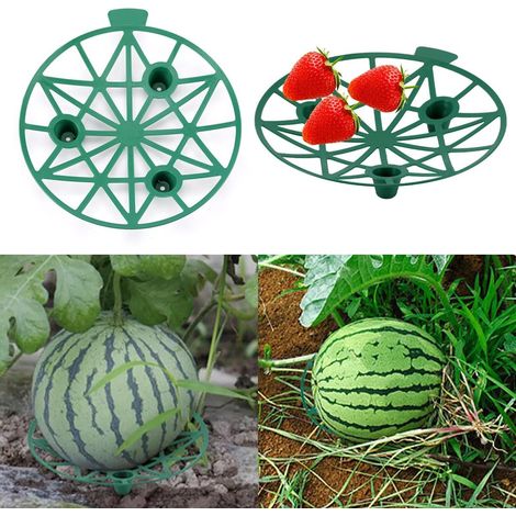 Lot de 8 supports de melon, berceaux et filets de fruits pour pastèque, concombre, courge et fraise, soutien de culture (1/5)