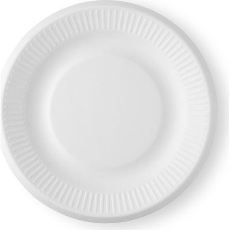 Assiettes de fête blanches, 100 pièces, diamètre 21 cm, éco-compostables, assiettes en papier, assiettes en carton, vaisselle jetable (1/5)