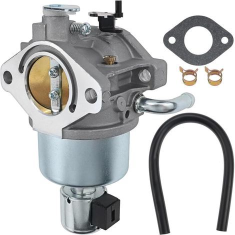 594593 594605 Carburateur pour BS 591731 91731 796109 594603 591734 17,5 CV 14,5 CV 15 CV 590400 796078 498811 794161 795477 594591 (1/5)
