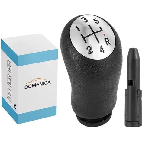 5 Vitesses Pommeau de Levier de Vitesse Compatible pour Renault Clio 3 Megane 2 Scenic 2 Modus Kangoo[32] (1/4)