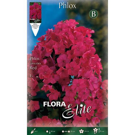 PHLOX RED (CONFEZIONE DA 1 BULBO)