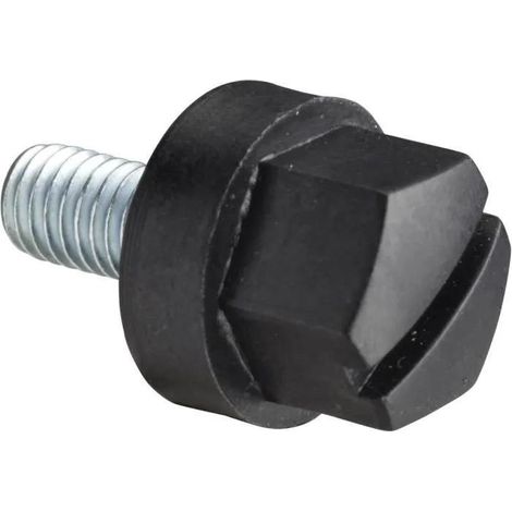 Schneider Electric Tornillo con cabeza aislante M5x10mm estándar