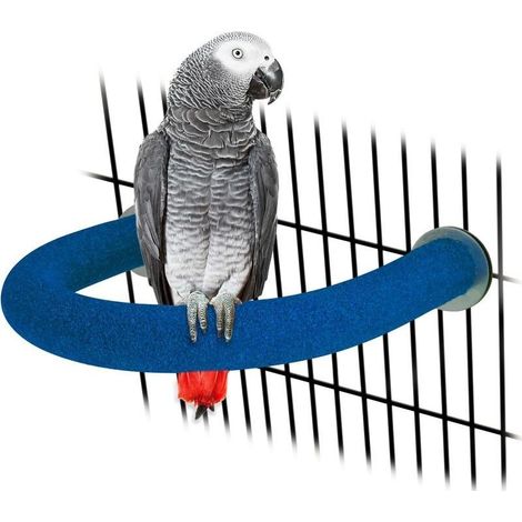 Perchoir en forme de U pour perroquet Bleu Jouet pour animal domestique Plateforme de sable Pour poncer les pattes Accessoire pour conure, perruche, calopsitte (1/5)
