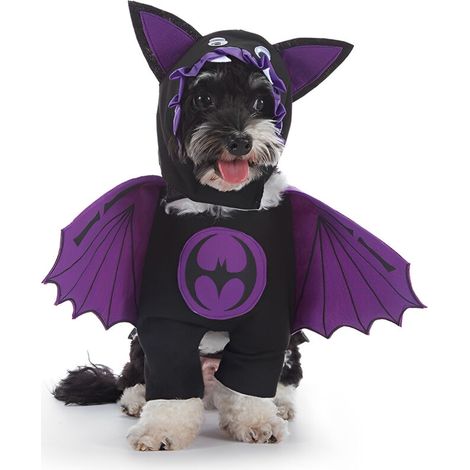 Bardusch - Déguisement d'Halloween en coton citrouille, vêtements de cosplay chauve-souris pour animaux de compagnie, t-shirt pour petits chiens, tenues mignonnes pour chiens, pulls d'automne pour chi (1/5)