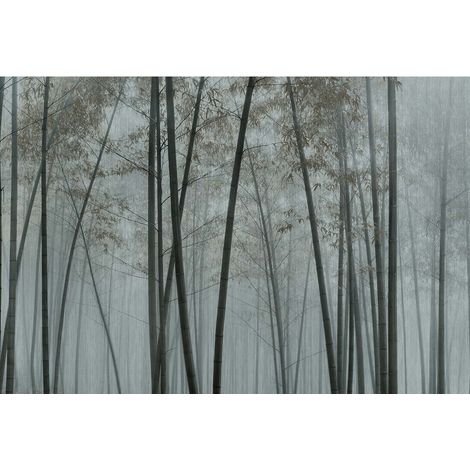 Papier peint panoramique nature brumeuse salon Tapisserie panoramique à motif bois couloir Papier peint panoramique gris & vert paysage foret (1/2)
