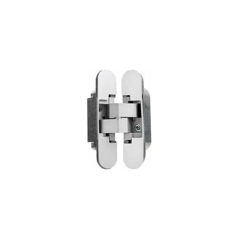 Charnière invisible pour portes, Lot de 2 charnières invisibles pour portes lourdes, charge 40 kg, ouverture 180º (1/3)