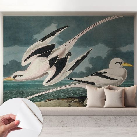 Papier peint autocollant avec imprimé pour décoration intérieure pour rénovation a motif Oiseaux au bord de la mer 208x146 cm (1/5)
