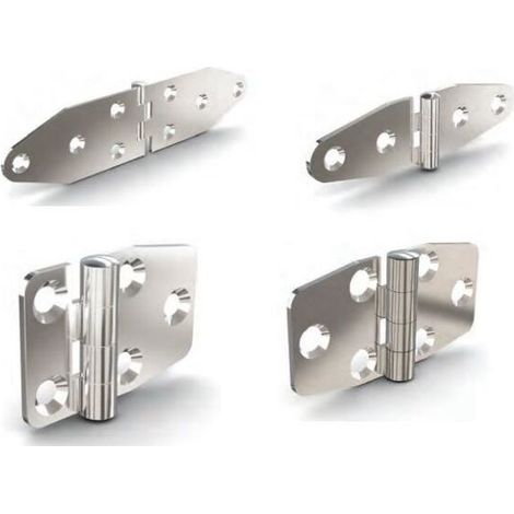 charnière inox 316 - dimension: 30x101