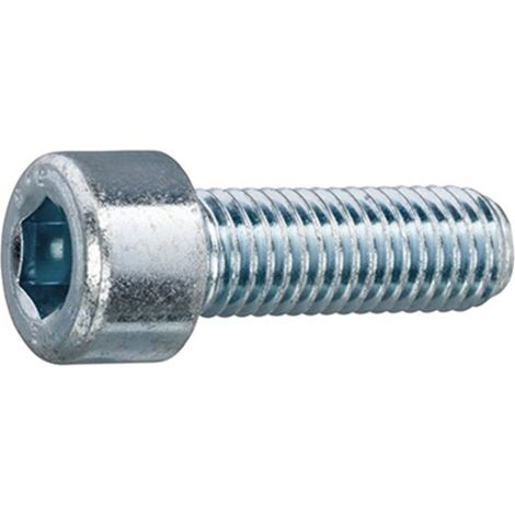 Schachtel mit 500 verzinkten Inbusschrauben M5x20mm 8.8 DIN 912