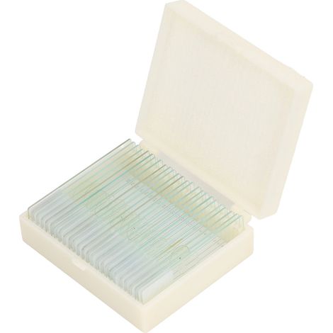 25 Objektträger aus klarem optischem Glas, Deckglas-Set für Algen, Zellen und Gewebe (1/5)