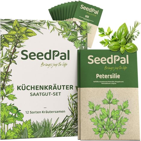 Kit de Graines d'Herbes - 12 Aromatiques pour Cuisine & Balcon (1/5)