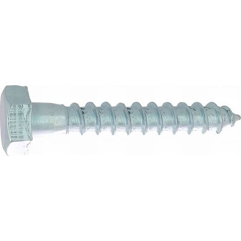 50 vis bois tête hexagonale DIN571 acier zingués blanc - diamètre 10.0 mm - Diamètre 10 mm