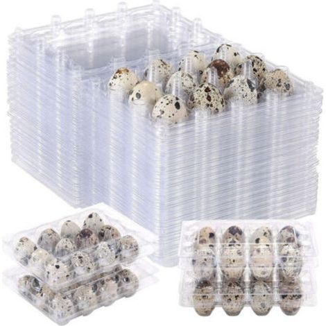 100pcs 12 Grilles boîte d'oeufs de caille Oeuf de Caille Cartons réutilisables Boite de Rangement des Oeufs Frigo Transparent Boîte De Rangement Mini Oeuf Distributeur avec couvercle pour réfrigérateu (1/4)