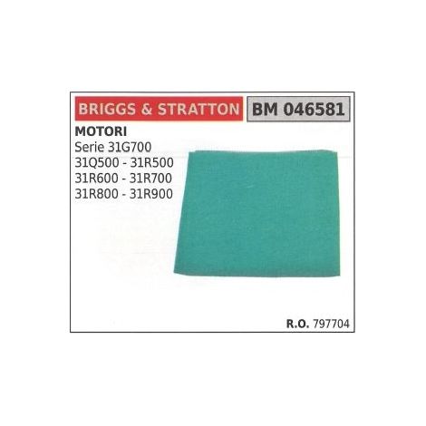 Filtro aria BRIGGS&STRATTON rasaerba tosaerba tagliaerba serie 31G700