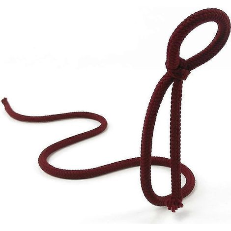 Corde suspendue casier à vin Serpentine support serpent porte bouteille de vin Bar armoire présentoir elle (1/4)