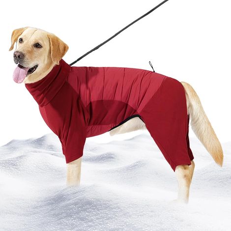 dhiver pour Chiens Vtements pour Chiot par Temps Froid avec (1/5)