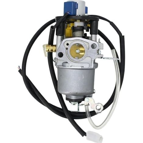 Carburateur Haute Performance pour Moteur Inverter 5000W (1/5)