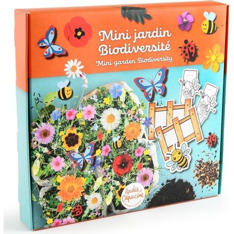 Mini jardin fleurs de biodiversité (1/4)