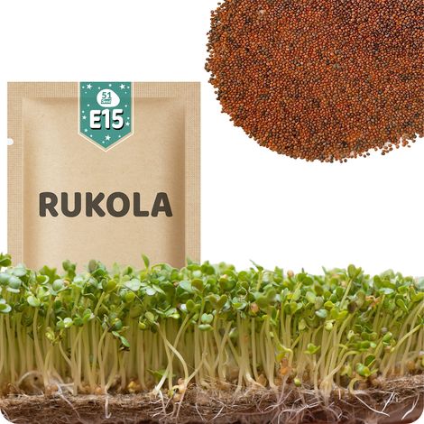 51Seed E15 Sprossensamen - Rucola 10 g