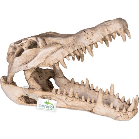 Terrario Krokodilschädel XL – Krokodilschädel für Terrarien, 23 x 11 x 16 cm (1/5)