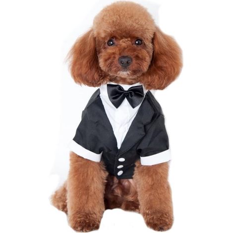 Abrigo de boda para cachorros con esmoquin negro (L) (1/4)