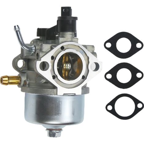 The CCR2450 carburetor is compatible with the 6.5 HP snowplows GTS3650, CCR3650, CCR2400 and CCR2500.--DTEKGAZ