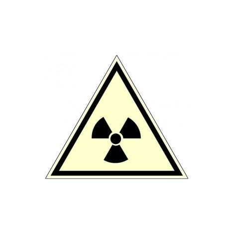 Panneau photoluminescent Danger de radiation - Rigide Triangle 300mm - 4209029