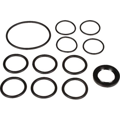 Set recambios bombas Bertolini BERTOLINI 639880973