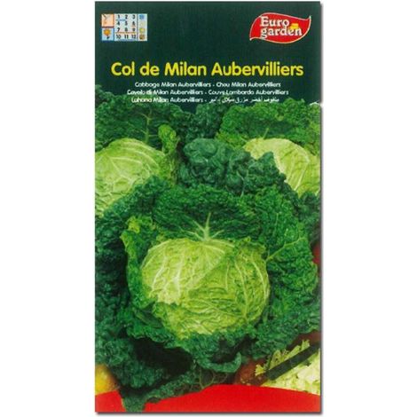 semillas fito horticolas col milan audervilliers 00059 (caja 10 unidades)