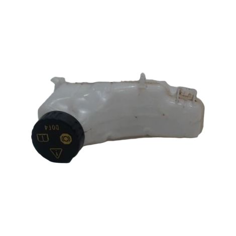 Bocal Liquide Frein RENAULT Megane [PRODUIT D'OCCASION]♻️460919499r (1/2)