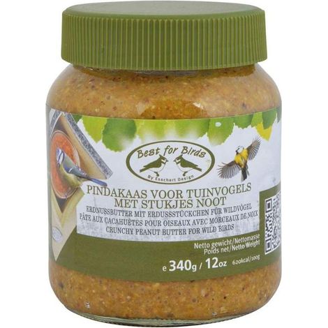 Pâte de tournesol pour oiseaux du jardin
