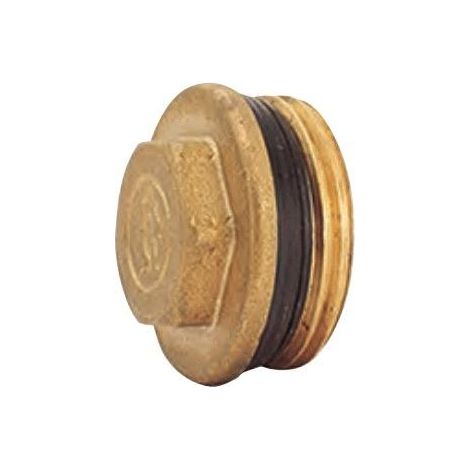 Giacomini Collettore R592D Tappo Stagna Ottone