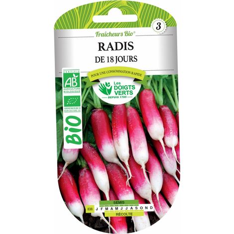 Semillas de rábanos BIO de 18 días Los Dedos Verdes (1/2)