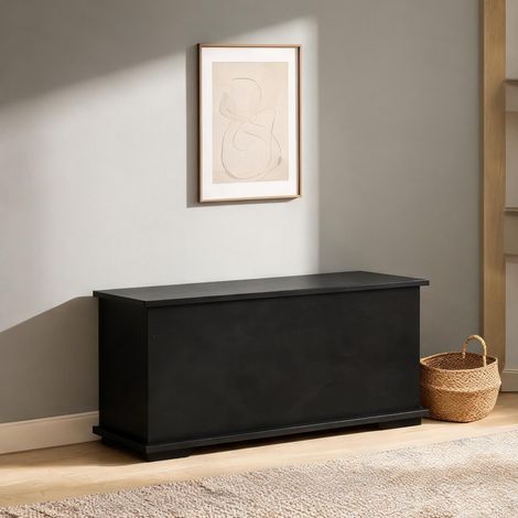 Banc de rangement noir avec couvercle rabattable et coffre (1/5)