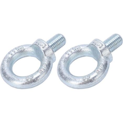 Boulon à œil Boulons à anneau de levage en acier au carbone galvanisé, 2 pièces, boulons à œil à manutention elingue (1/4)